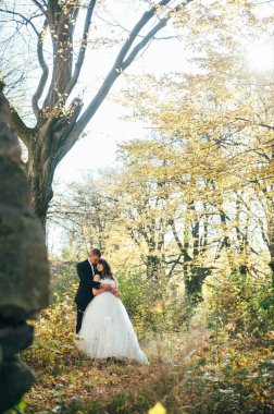 Damat yeşil parkta gülen gelinine sarılıyor. Düğün..