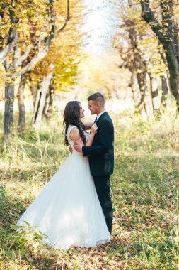 Sonbahar parkında gelin ve damat Aşk Hayatı