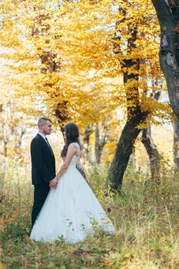 Mutlu gelin ve damadın güneş ışığı portresi gün batımında doğa alanında. Sıcak yaz zamanı. Güzel bir buket çiçekleri olan mutlu bir çift. Düğün fotoğrafı. Birbirine aşık bir çift. Sonbahar düğünü.