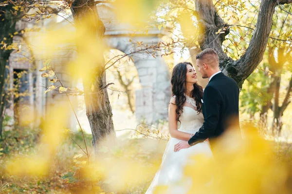 秋の公園で花嫁と新郎 Love Life — ストック写真