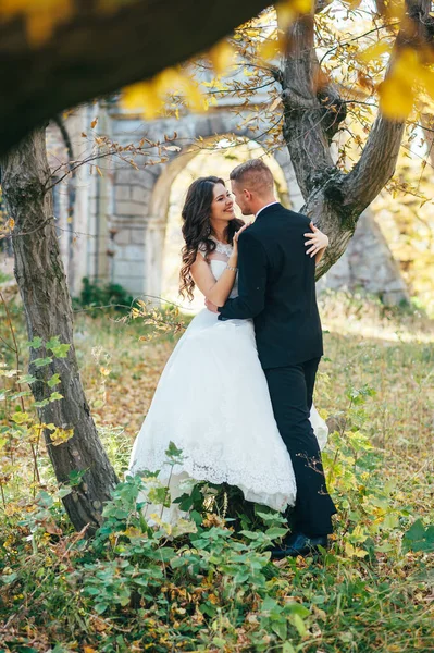 Nevěsta Ženich Focení Přírodě — Stock fotografie