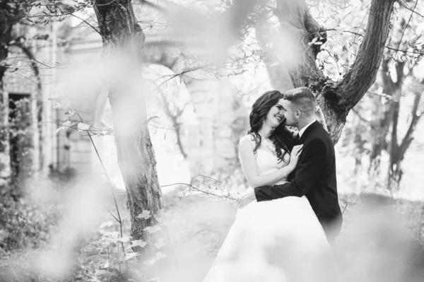 Groom Abraçando Sua Noiva Rindo Parque Verde Casamento — Fotografia de Stock