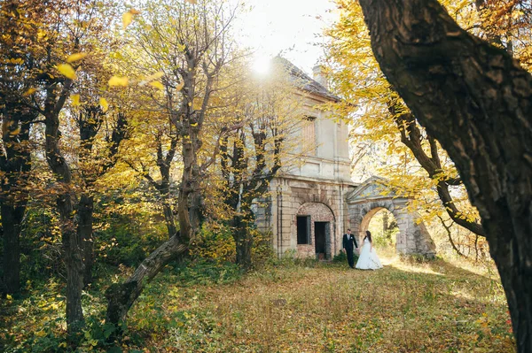 Bride Groom Autumn Park Love Life — Stock Photo, Image