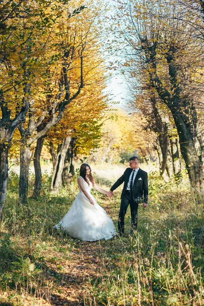 Menyasszony Vőlegény Őszi Parkban Szerelem Élet — Stock Fotó