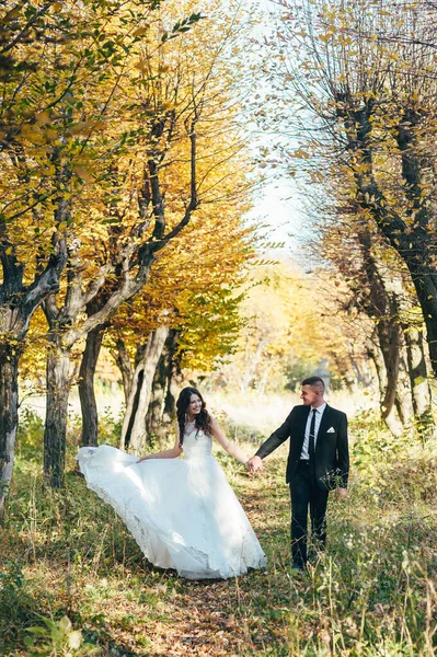 Menyasszony Vőlegény Egy Fotózáson Természetben — Stock Fotó