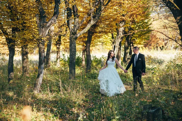Невеста Жених Осеннем Парке Love Life — стоковое фото