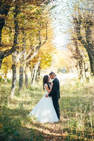 Sposa Sposo Nel Parco Autunnale Love Life — Foto Stock