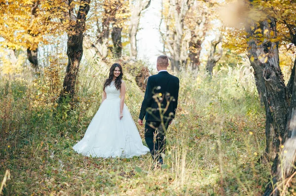 Sposa Sposo Nel Parco Autunnale Love Life — Foto Stock