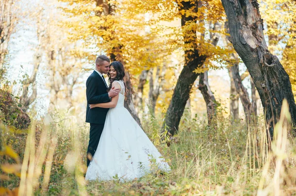 Sposa Sposo Nel Parco Autunnale Love Life — Foto Stock