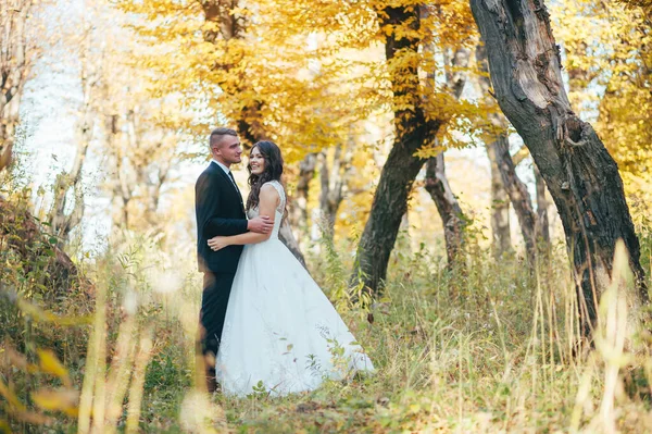 Sunshine Ritratto Felice Sposa Sposo All Aperto Posizione Naturale Tramonto — Foto Stock
