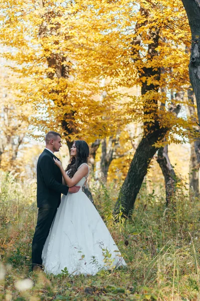 Menyasszony Vőlegény Őszi Parkban Szerelem Élet — Stock Fotó