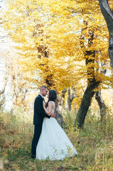 Vőlegény Megöleli Nevető Menyasszonyát Green Parkban Esküvő — Stock Fotó