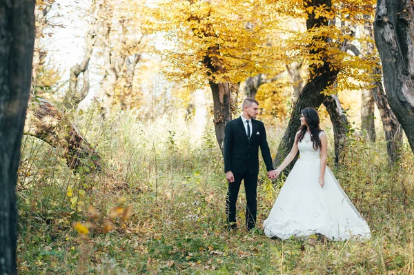 Felice Couple Wedding Photo Couple Innamorato — Foto Stock