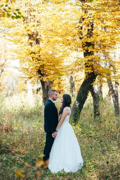 Novio Abrazando Novia Riendo Green Park Boda — Foto de Stock