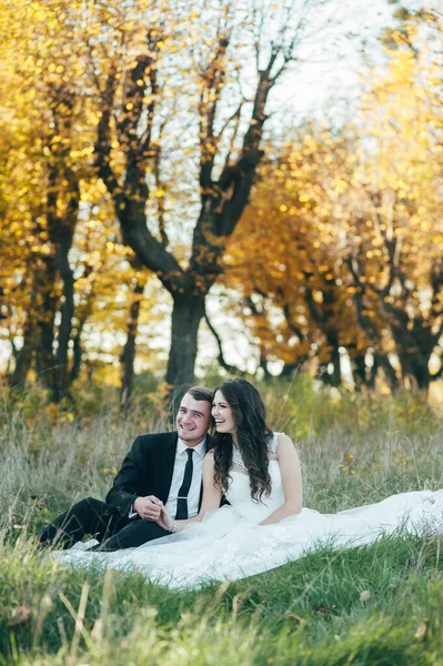 Menyasszony Vőlegény Egy Parkban Csók Pár Friss Házasok Menyasszony Vőlegény — Stock Fotó