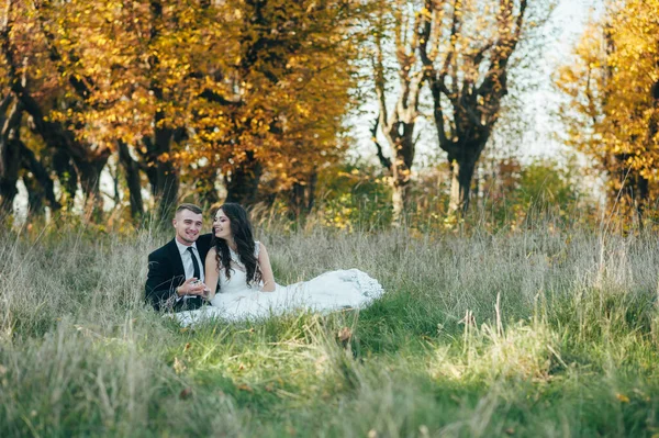 Felice Couple Wedding Photo Couple Innamorato — Foto Stock