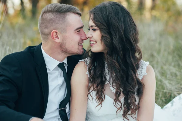 Novia Novio Parque Kissing Couple Recién Casados Novia Novio Una —  Fotos de Stock