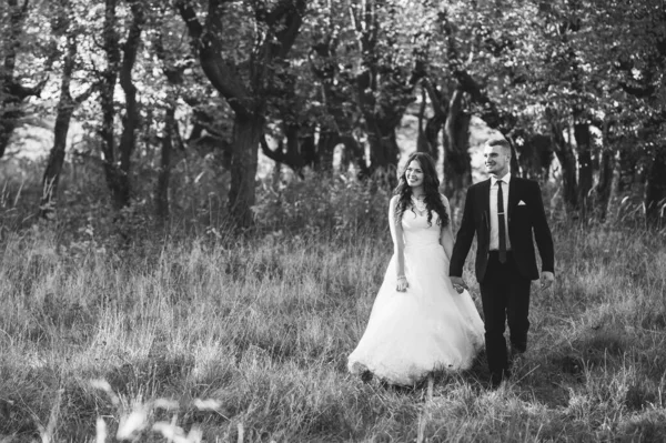 Napsugár Portré Boldog Menyasszony Vőlegény Szabadban Természet Helyszínén Naplementekor Meleg — Stock Fotó