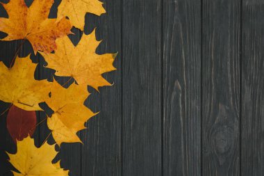 Ahşap arkaplan üzerinde sonbahar yaprağı (üst görünüm) Eski grunge ahşap güverte turuncu yaprak, yazı için kopyalama yeri, üst görünüm, metin için tablet,