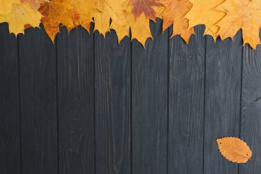 Sonbahar yaprakları ahşap arka planda. Kopya alanı ile birlikte.