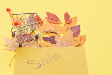 İndirimli sonbahar alışverişi. Sonbahar satışları. Sonbahar sarısı yapraklarına dikkat eden bej kağıt alışveriş torbası..