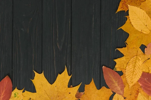 Hojas Otoño Húmedas Amarillas Fondo Una Madera Vieja Oscura — Foto de Stock