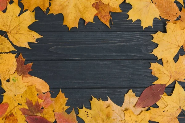 Hoja Otoño Sobre Madera Fondo Negro Vista Superior Hoja Naranja — Foto de Stock