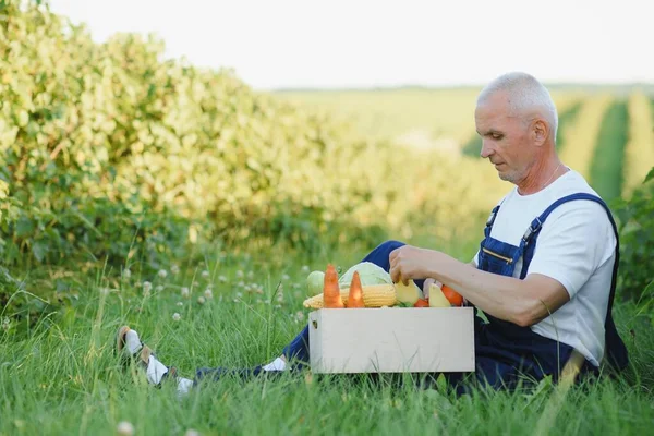 Senior Man Lifting Box Full Seasonal Vegetables — Stock fotografie