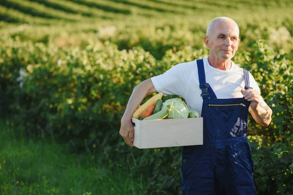 Farmář Nesoucí Krabici Sklizené Zeleniny — Stock fotografie