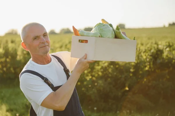 Uomo Anziano Che Solleva Scatole Piene Verdure Stagione Concetto Alimentazione — Foto Stock