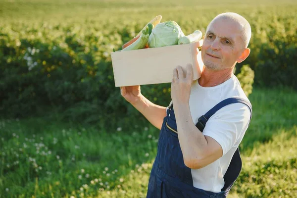 Agricoltore Che Trasporta Scatola Verdure Raccolte — Foto Stock