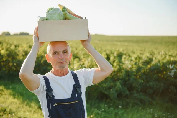 Ansicht Des Arbeitenden Alten Bauern Ernten Landwirtschaft Landwirtschaftskonzept — Stockfoto