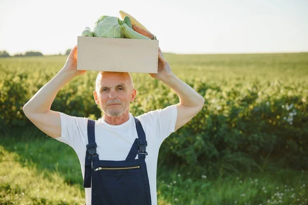 Landwirt Trägt Schachtel Mit Gepflücktem Gemüse — Stockfoto