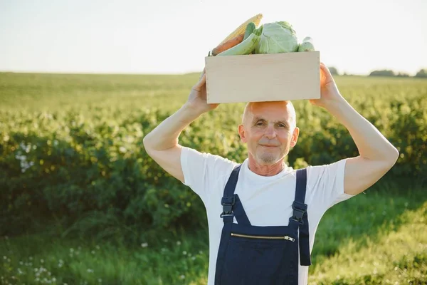 Senior man lifting box full of seasonal vegetables. The concept of healthy eating
