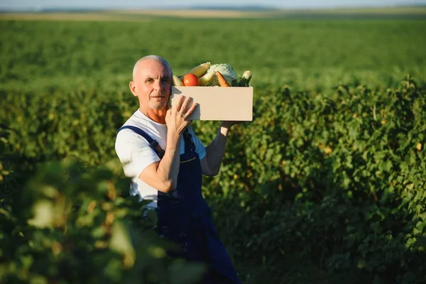 Farmář Nesoucí Krabici Sklizené Zeleniny — Stock fotografie
