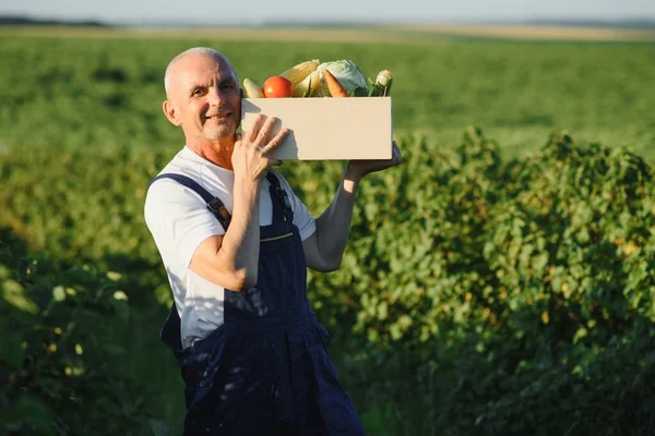 Man Met Houten Doos Groenten Het Veld Landbouw — Stockfoto