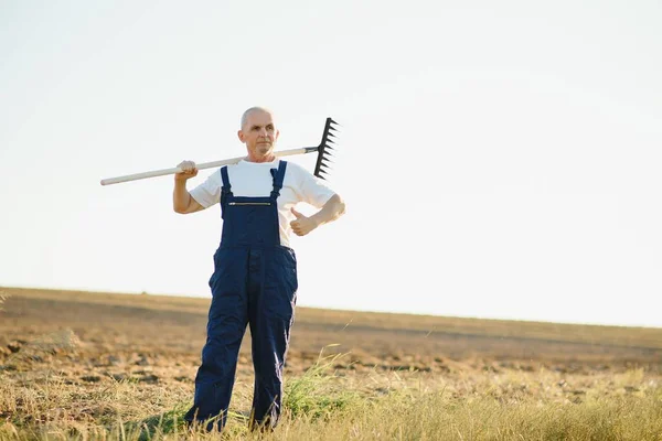 Senior Landwirt Auf Einem Feld Landwirtschaftskonzept — Stockfoto