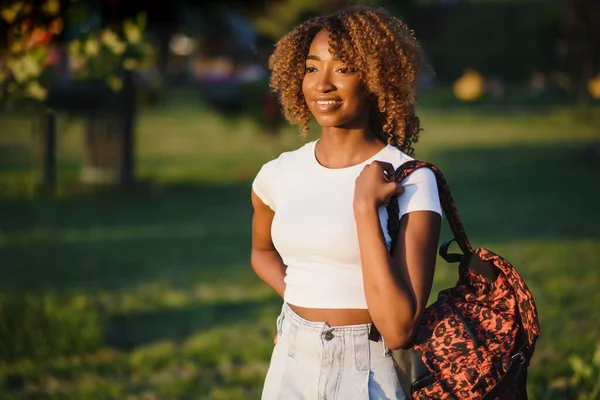 Närbild Skönhet Utomhus Porträtt Attraktiva Charmiga Unga Afrikansk Amerikanska Leende — Stockfoto