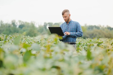 Soya tarlasında genç bir çiftçi
