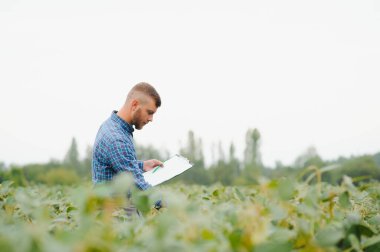 Soya tarlasında genç bir çiftçi