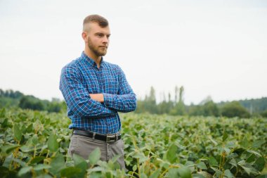 Soya tarlasında genç bir çiftçi