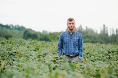 Soya tarlasında genç bir çiftçi