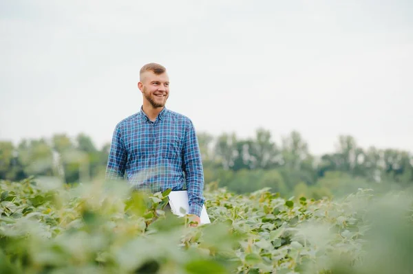 Soya tarlasında genç bir çiftçi