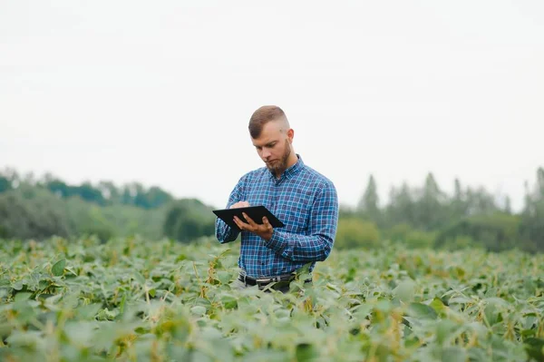 Jungbauer Auf Sojabohnenfeldern — Stockfoto