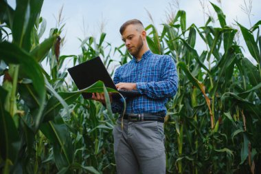 Mısır çiftliğindeki çiftçi araştırma tesisi. Tarım ve bilim adamı kavramı.