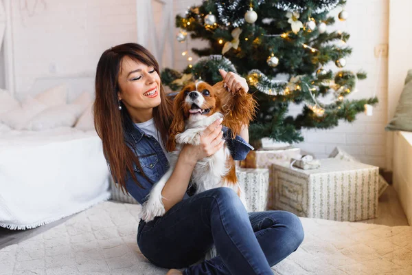 Hermosa Joven Con Perro Cerca Del Árbol Navidad — Foto de Stock