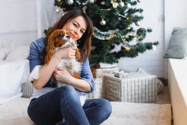 Schöne Junge Frau Mit Hund Der Nähe Von Weihnachtsbaum — Stockfoto