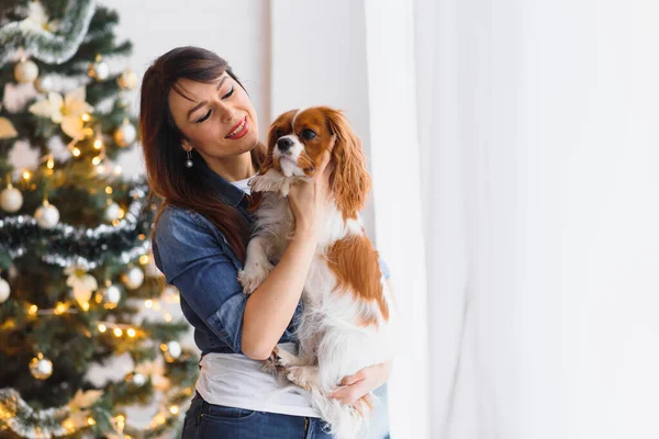 Schöne Junge Frau Mit Hund Der Nähe Von Weihnachtsbaum — Stockfoto