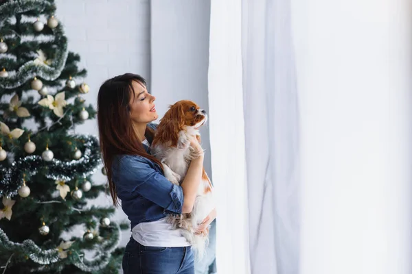 Schöne Junge Frau Mit Hund Der Nähe Von Weihnachtsbaum — Stockfoto