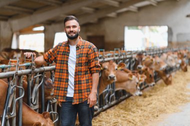 Ahırda Jersey ineklerinin yanında duran genç bir çiftçinin portresi, tarım endüstrisini ve çiftlik hayvanlarını temsil ediyor.